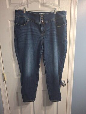 Torrid High-Rise Jeggings 20short